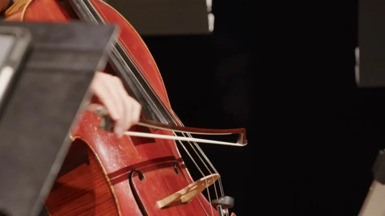 TESSEL·LES · BRAHMS / BREUER