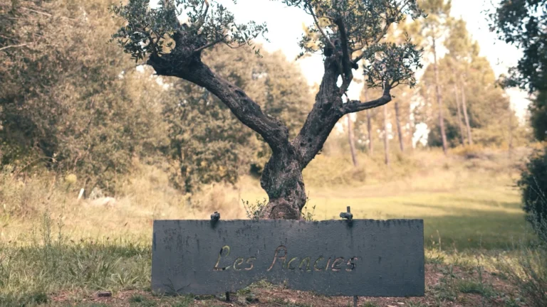 LES ACÀCIES · LA VEREMA