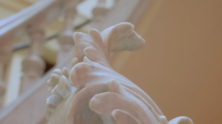 FSF PRESENTA · BACH & MOZART