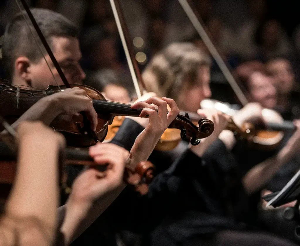 detalle de violinistas tocando en concierto de música clásica